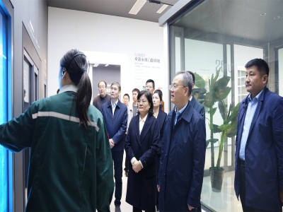 省工信廳總工程師、二級巡視員孫京軍一行 蒞臨卓越精工調(diào)研指導(dǎo)